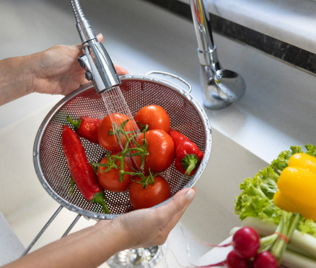 Desinfeccion de alimentos insumos
